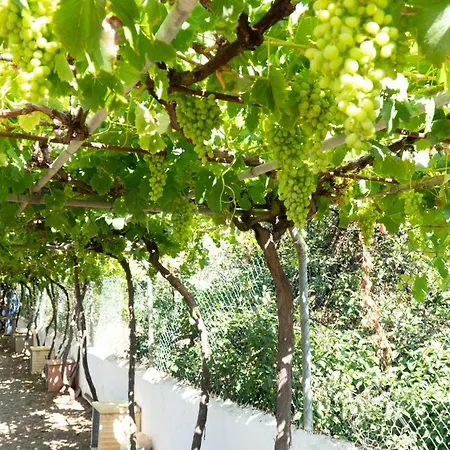 Typisch Kanarische Elena Mit Eigenem Pool Σπίτι διακοπών